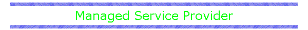 Managed Service Provider