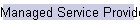 Managed Service Provider