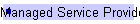 Managed Service Provider